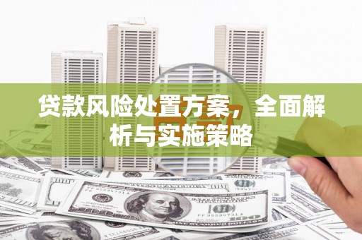 麦寮贷款风险处置方案，全面解析与实施策略
