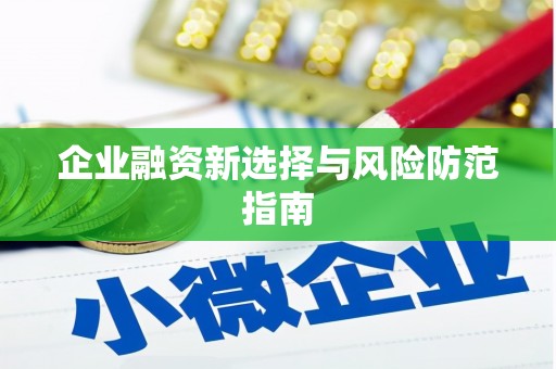 麦寮企业融资新选择与风险防范指南