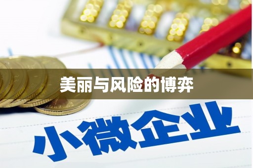 麦寮美丽与风险的博弈