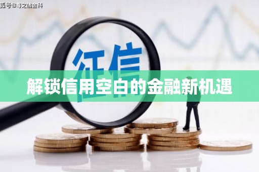 麦寮解锁信用空白的金融新机遇
