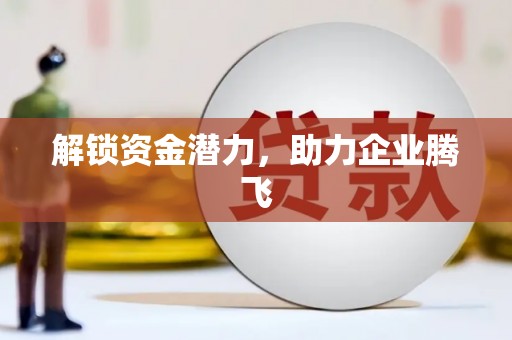 麦寮解锁资金潜力，助力企业腾飞