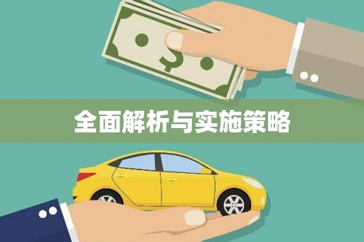 麦寮全面解析与实施策略