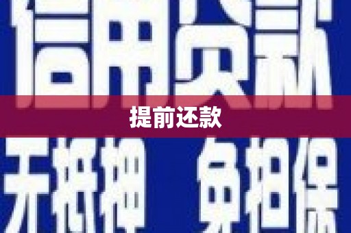 麦寮提前还款