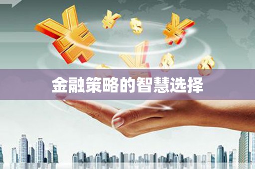 麦寮金融策略的智慧选择