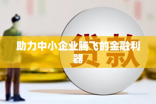 麦寮助力中小企业腾飞的金融利器