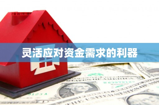 麦寮灵活应对资金需求的利器