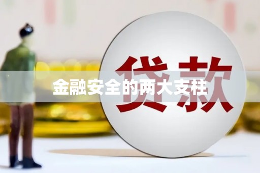 麦寮金融安全的两大支柱