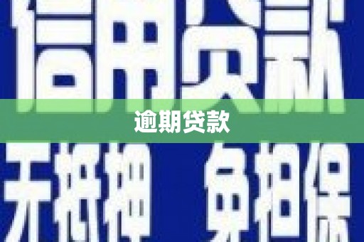 麦寮逾期贷款
