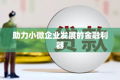 麦寮助力小微企业发展的金融利器