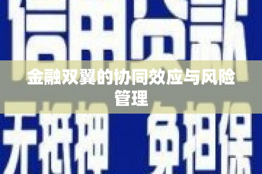 麦寮金融双翼的协同效应与风险管理