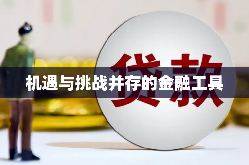 麦寮机遇与挑战并存的金融工具