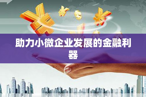 麦寮助力小微企业发展的金融利器