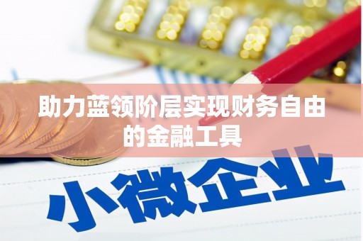 麦寮助力蓝领阶层实现财务自由的金融工具