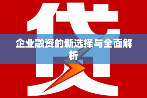 麦寮企业融资的新选择与全面解析