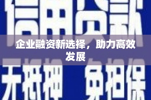 麦寮企业融资新选择，助力高效发展