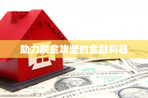 麦寮助力脱贫攻坚的金融利器