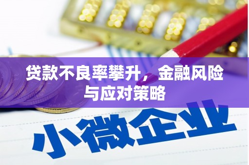 麦寮贷款不良率攀升，金融风险与应对策略