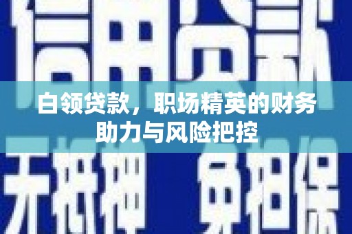 麦寮白领贷款，职场精英的财务助力与风险把控