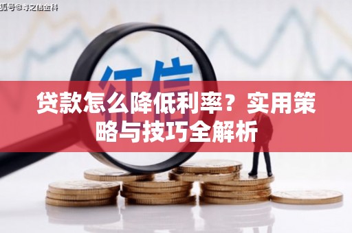 麦寮贷款怎么降低利率？实用策略与技巧全解析