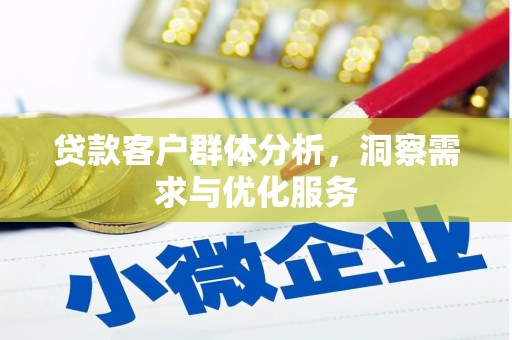 麦寮贷款客户群体分析，洞察需求与优化服务